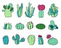 Cactus plants set. Vector colorful hand drawn outline sketch illustration